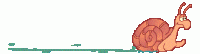 csiga.gif