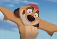 timon-1.jpg