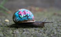 grafiti.jpg