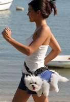 DOGS  28945.jpg