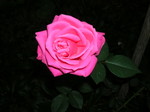 20050926163511.jpg