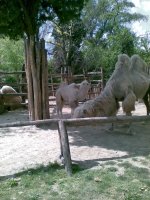 20090419(018).jpg