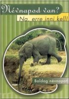 nevnap002.jpg