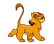 Simba.gif