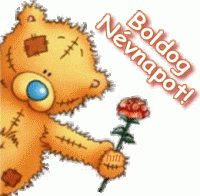 1235670183nevnap%283%29.gif