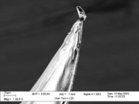 R004.jpg