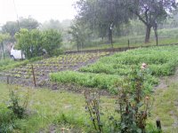 DSCF1479.JPG