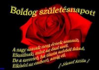 Rózsa.jpg