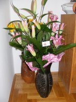 DSCF2164.JPG