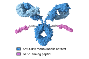 Structure-of-Maridebart-Cafraglutide-2.png