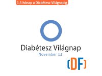 WDD_2013.jpg