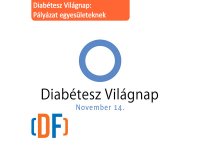 2014_diabvilagnap.jpg