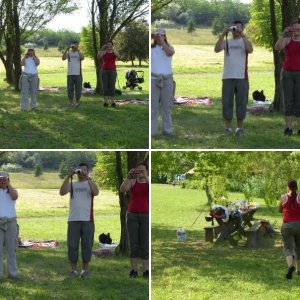 Album : Diab-fórum találkozó - Pákozd-Sukoró Arborétum #2 (05.31)