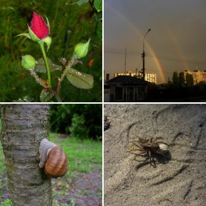 Album : Panasonic FS3