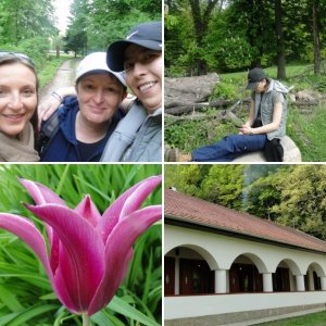 Album : Megint csavarogtam a Bakonyban...