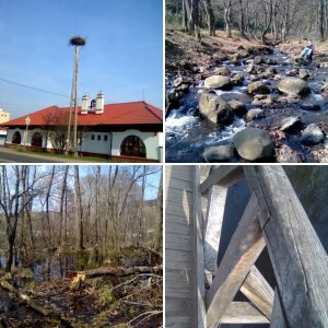 Album : áprilisi kirándulás Sástón../Mátra/