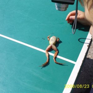 [No title]