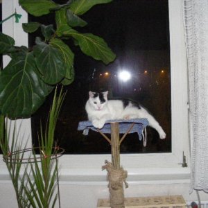 [No title]