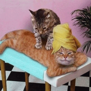 [No title]