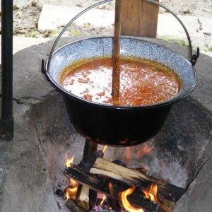 [No title]