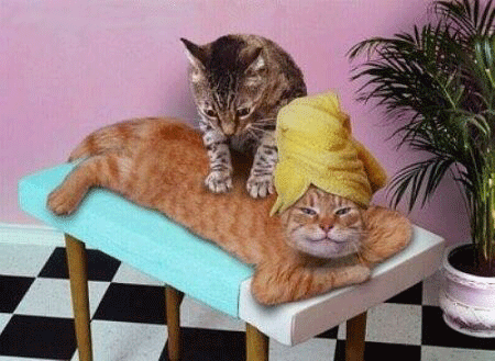 [No title]
