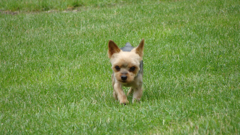 [No title]