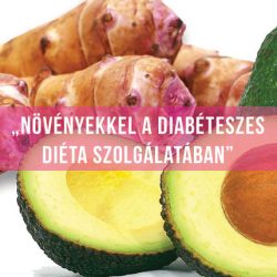 avokádó, csicsóka