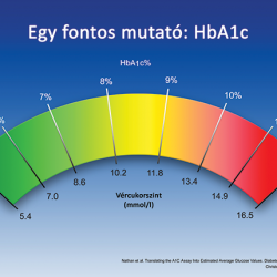 Egy fontos mutató: HbA1c