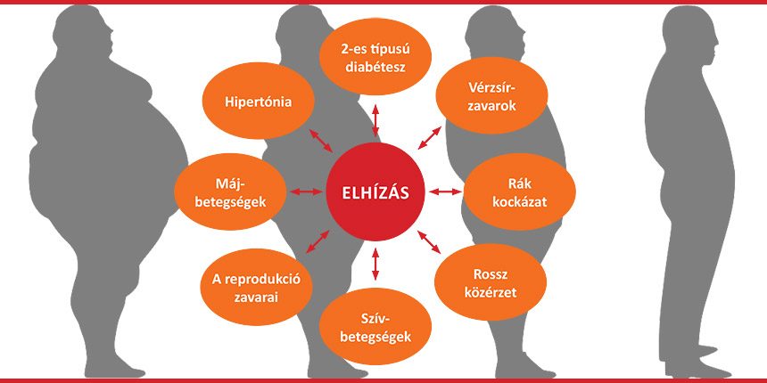 epilepszia magas vérnyomás