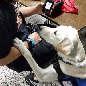 Vércukorszint-jelző kutyák - tudományos háttér