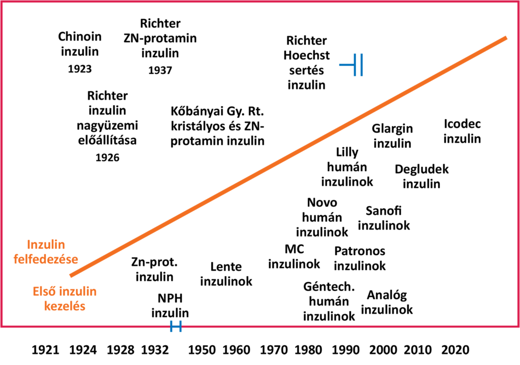 A hazai inzulingyártás felvázolt rövid története