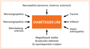 A diabéteszesláb-szindrómakialakulásában szerepet kapó tényezők