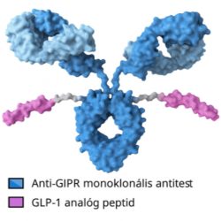 Új GLP-1 receptor agonista fogyasztószer Maridebart Cafraglutide