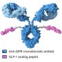 Új GLP-1 receptor agonista fogyasztószer Maridebart Cafraglutide